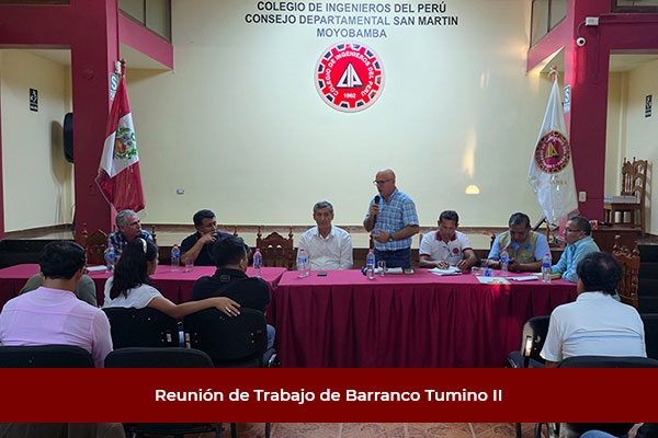  Reunión de Trabajo sobre el Proyecto del Barranco Tumino II