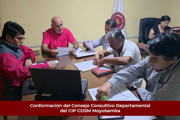 Conformación del Consejo Consultivo Departamental del CIP CDSM M