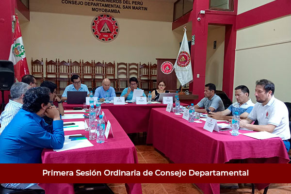 PRIMERA SESIÓN ORDINARIA DE CONSEJO DEPARTAMENTAL