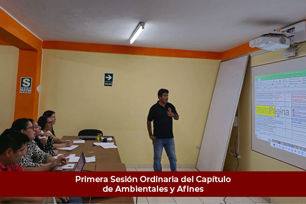 Primera sesión ordinaria de la directiva del Capítulo de Ambientales y Afines 