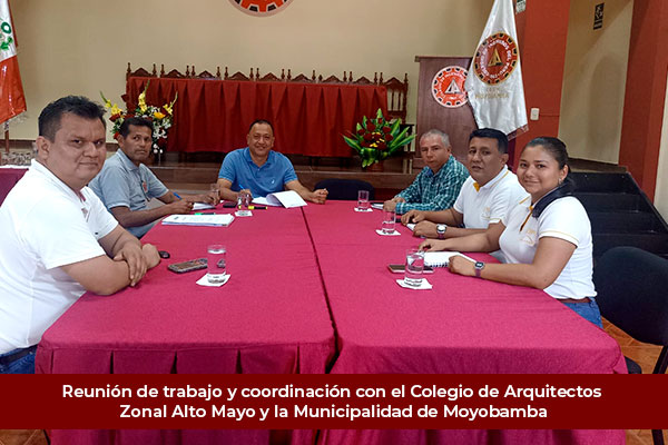 Reunión de trabajo y coordinación para la conformación de las Comisiones Técnicas