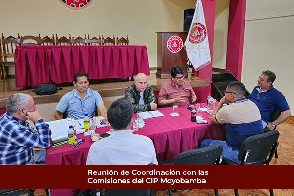 Reunión de Coordinación con las Comisiones del CIP Moyobamba