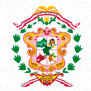 CONVOCATORIA CAS N-002-2026-GRSM/OGP